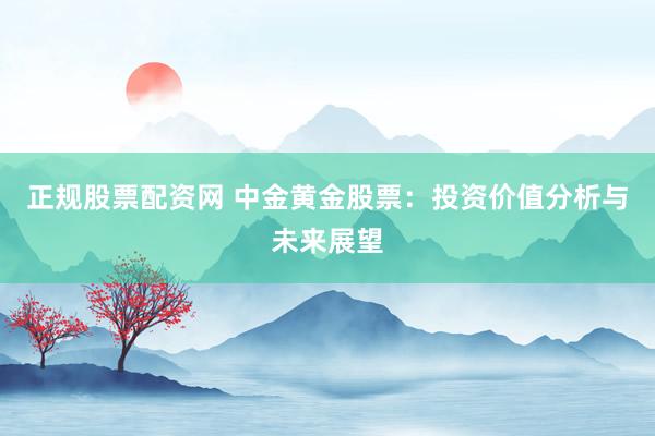 正规股票配资网 中金黄金股票：投资价值分析与未来展望
