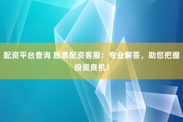 配资平台查询 股票配资客服：专业解答，助您把握投资良机！
