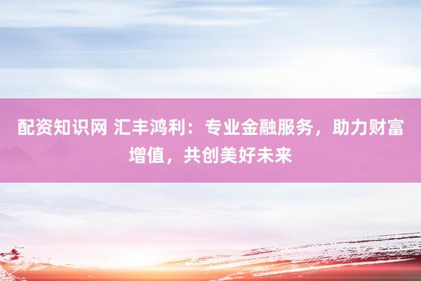 配资知识网 汇丰鸿利：专业金融服务，助力财富增值，共创美好未来