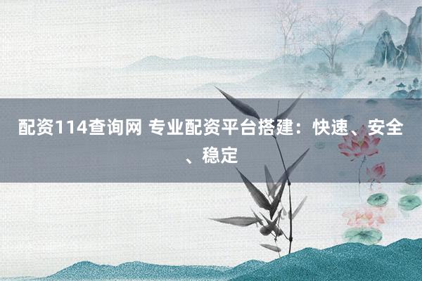 配资114查询网 专业配资平台搭建：快速、安全、稳定