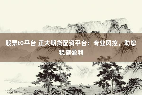 股票t0平台 正大期货配资平台：专业风控，助您稳健盈利