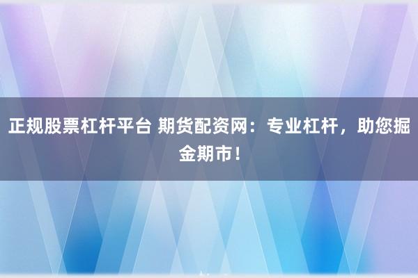 正规股票杠杆平台 期货配资网：专业杠杆，助您掘金期市！