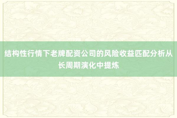 结构性行情下老牌配资公司的风险收益匹配分析从长周期演化中提炼