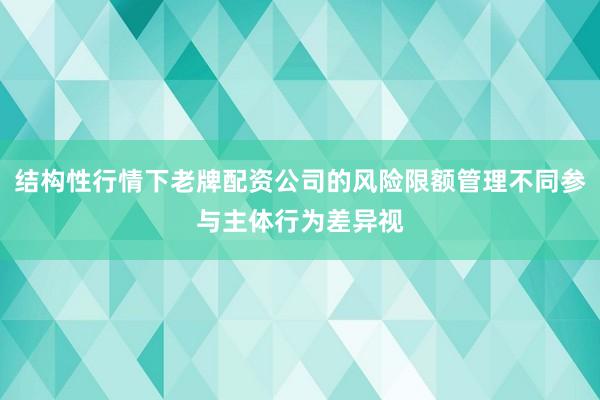 结构性行情下老牌配资公司的风险限额管理不同参与主体行为差异视