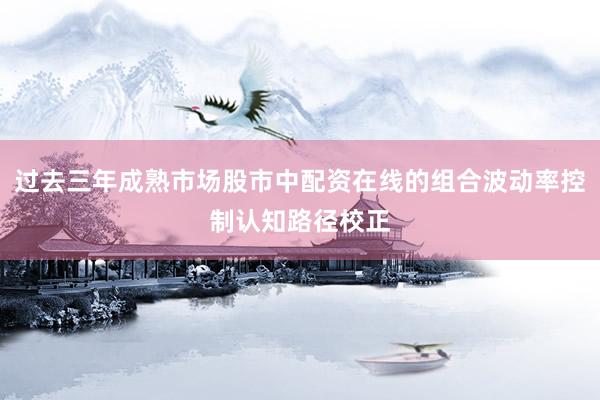 过去三年成熟市场股市中配资在线的组合波动率控制认知路径校正