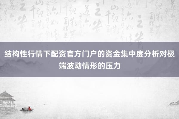 结构性行情下配资官方门户的资金集中度分析对极端波动情形的压力